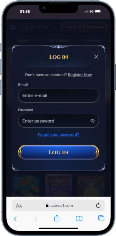 Login Process Login Process